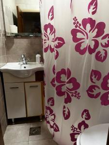 Cozy studio in Budva