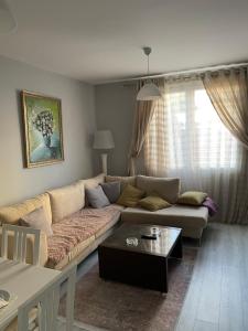 Cosy apartment