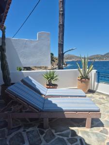 Nektaria on the Beach