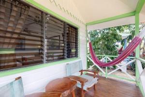 Green Iguana at Latitude Adjustment -Gold Standard Certified
