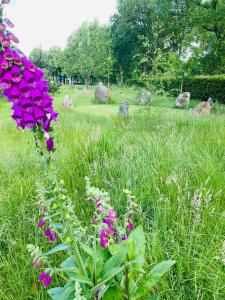 t Hof van Wespert