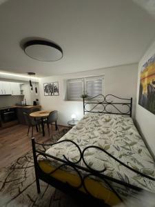 Apartament M1 w centrum Wiela