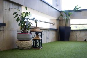 Apartment Kleri