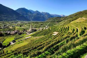 B&B Antico Filare