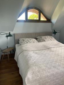 Nyuszifülház Ferienhaus im Weinberg mit Pool