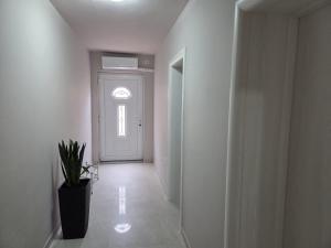 Apartment Ivana
