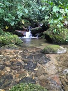 Eco Hotel Los cedros