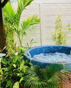 Arboleda House by the River, Forest with Jacuzzi and A C
