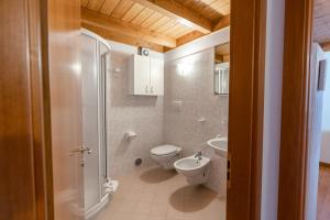 Dolomiti Ski & Green Lodge Apartment & Free Park