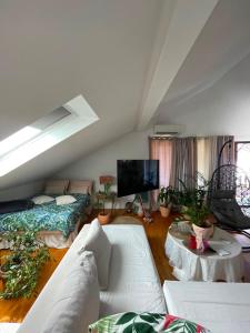 Apartment Danka