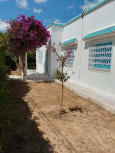 Charming, secure house in Carthage
