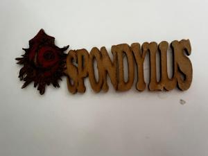 Habitación Spondylus