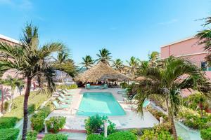 Dhalia #21 at Caribe Island -Gold Standard Certified