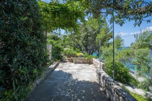 Seaside secluded apartments Cove Vela Borova, Korcula - 15062