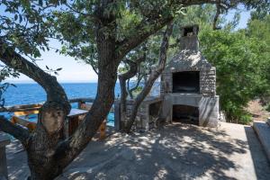 Seaside secluded apartments Cove Vela Borova, Korcula - 15062