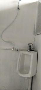 Urban Nest Hostel