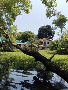 Lake side garden house