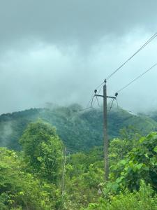 new shivalaya homestay