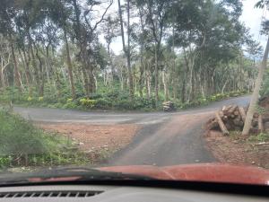 new shivalaya homestay