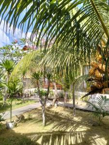 Pondok Nusa