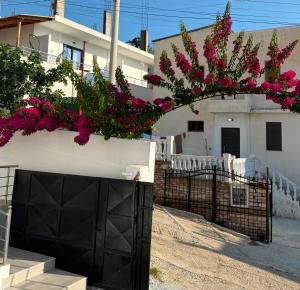 Niko Apartments