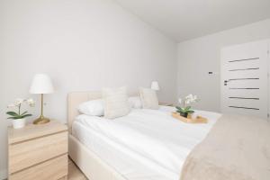 Spacious Apartment with Parking Near the Old Town by Noclegi Renters