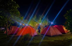 Sewa Tenda Pantai Madasari