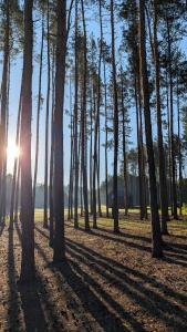 Ostoja Mostki - Domek nad Siemianówką
