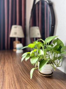 Thach An Hotel
