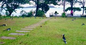 Starlight Beach Resort
