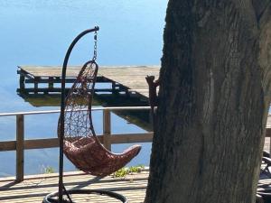 Apartament Sady