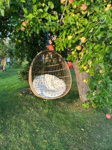 Villa Sakis - Historic Swedish Farm Cottage - Lake Sauna