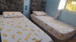 Apartamento Martil