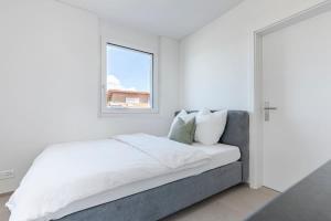 Rothorn Studio - Aare Jungfrau AG