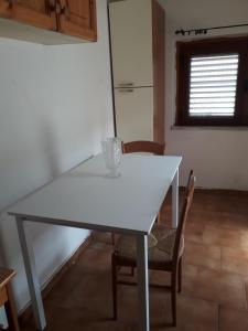Mango guest house