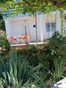 Apartment Josip -Tomic