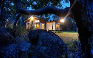 Severn-dipity - Mingoola