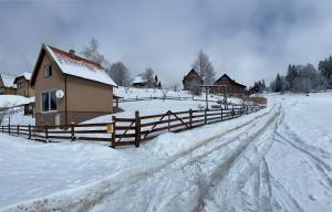 BiSER PANČIĆA