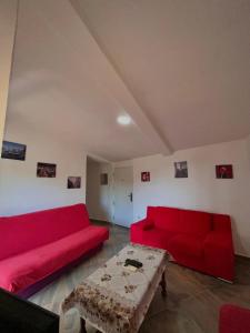 Apartmani Monika