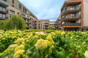 Apartament Nadmotławie Old Town Gym & Free Parking by Alqueen Apartments