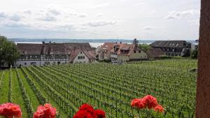 Gästehaus Ainser