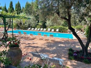 Villa Pineta - Holiday House