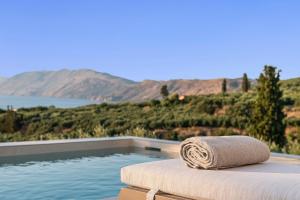 Villa Aurelia with private pool and jacuzzi