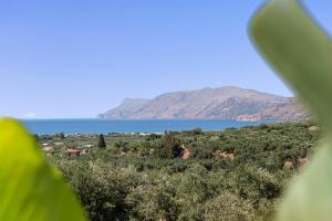 Villa Aurelia with private pool and jacuzzi