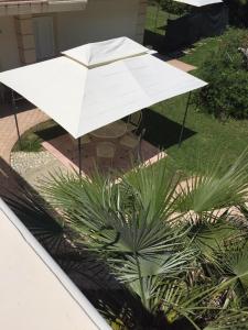 Comfortable villa lower level in Montelabbate with private pool