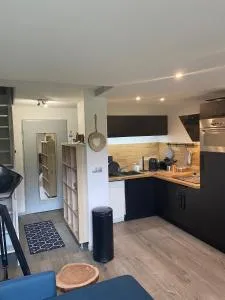 Appartement cosy à Manigod avec piscine partagée – 50 m²
