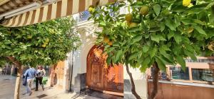 Spacious apartment with pool in the heart of Murcia - 128 m²