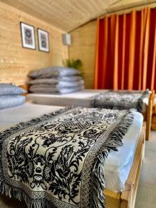 Wiejski Apartament DREWUTNIA