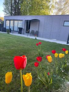 Cozy House with Garden and Jacuzzi in Tournai