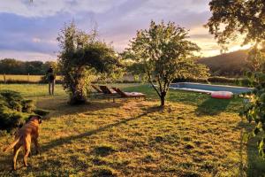Paradis en Berry